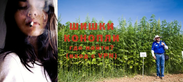 спайс Алексеевка