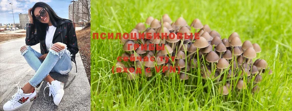 спайс Алексеевка
