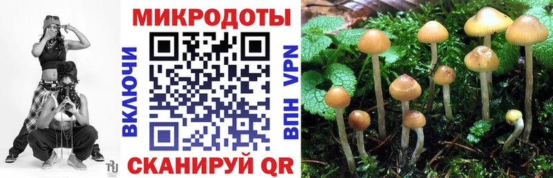 магазин    Ликино-Дулёво  Галлюциногенные грибы GOLDEN TEACHER 
