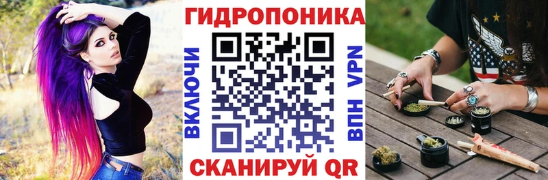 Каннабис сатива Ликино-Дулёво